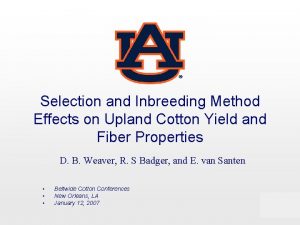 Selection and Inbreeding Method Effects on Upland Cotton