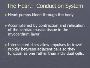 The Heart Conduction System Heart pumps blood through