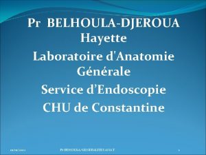 Pr BELHOULADJEROUA Hayette Laboratoire dAnatomie Gnrale Service dEndoscopie