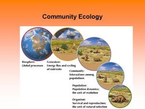 Community Ecology Competition Competition The struggle of individuals