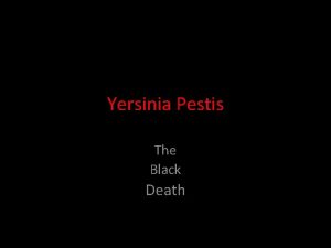 Yersinia Pestis The Black Death Symptoms Swollen lymph