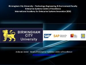 International Academy of Enterprise Systems Innovation Birmingham City