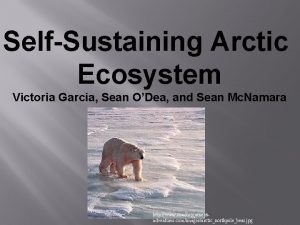 SelfSustaining Arctic Ecosystem Victoria Garcia Sean ODea and