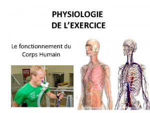 PHYSIOLOGIE DE LEXERCICE Le fonctionnement du Corps Humain