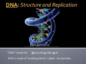 DNA Structure and Replication DNA stands for Deoxyribonucleic