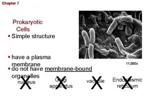 Chapter 7 Cellular Structure and Function Prokaryotic Cells