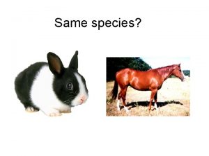 Same species Same species Same species Same species