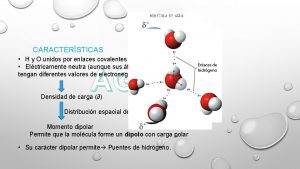 CARACTERSTICAS H y O unidos por enlaces covalentes