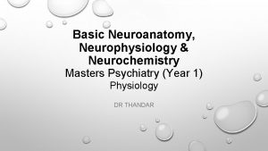 Basic Neuroanatomy Neurophysiology Neurochemistry Masters Psychiatry Year 1