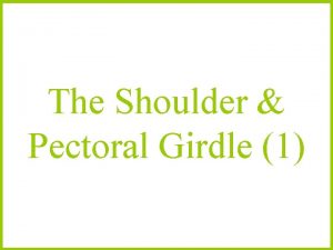 The Shoulder Pectoral Girdle 1 Symptoms The commonest