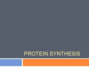 PROTEIN SYNTHESIS Protein Synthesis Assembly of proteins Occurs