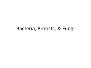 Bacteria Protists Fungi Bacteria What are characteristics of