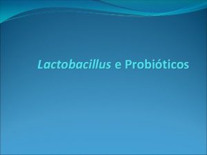 Lactobacillus e Probiticos Lactobacillus e Probiticos Bacilos Gram