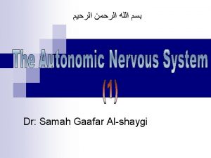 Nervous system Peripheral NS Efferent division Autonomic NS