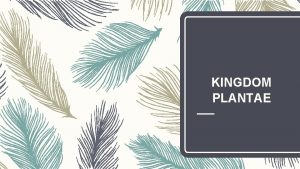 KINGDOM PLANTAE KINGDOM PLANTAE Something to ponder Plants