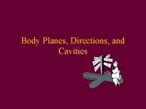 Body Planes Directions and Cavities Objectives Label a