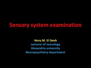 Sensory system examination Hany M El Deeb Lecturer