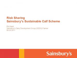 Risk Sharing Sainsburys Sustainable Calf Scheme Phil Nash