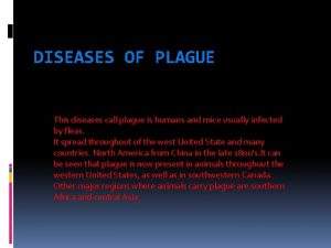 DISEASES OF PLAGUE This diseases call plague is