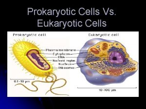Prokaryotic Cells Vs Eukaryotic Cells All cells fall