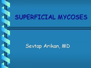 SUPERFICIAL MYCOSES Sevtap Arikan MD SUPERFICIAL MYCOSES b