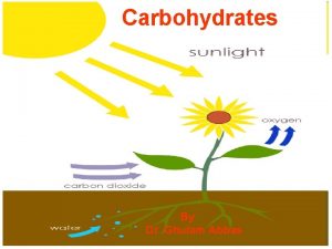 Carbohydrates By Dr Ghulam Abbas Carbohydrate functions Energy