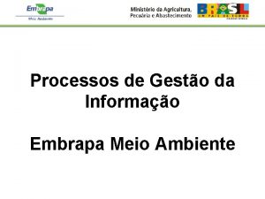 Processos de Gesto da Informao Embrapa Meio Ambiente