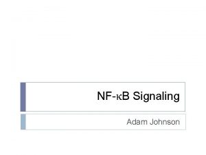 NFB Signaling Adam Johnson What is NFB Transcription