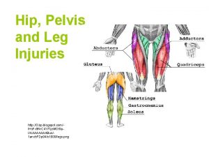 Hip Pelvis and Leg Injuries http 3 bp