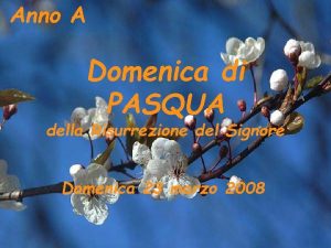 Anno A Domenica di PASQUA della Risurrezione del