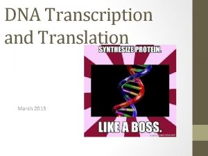 DNA Transcription and Translation March 2013 Nucleic Acid