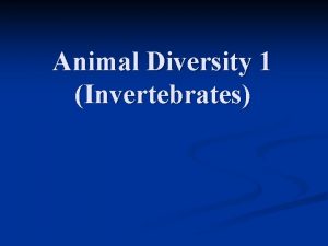 Animal Diversity 1 Invertebrates Characteristics of Animals n