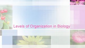 Levels of Organization in Biology Levels of Organization