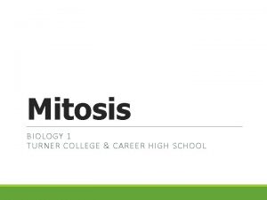 Mitosis BIOLOGY 1 TURNER COLLEGE CAREER HIGH SCHOOL
