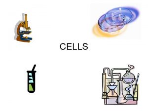 CELLS What is a cell simplest unit of