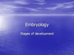 Embryology Stages of development Preembryonic period Embryonic period