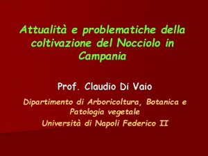 Attualit e problematiche della coltivazione del Nocciolo in