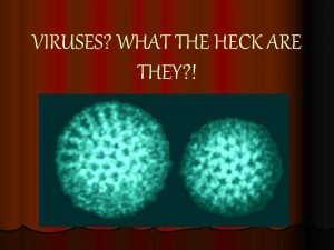 VIRUSES WHAT THE HECK ARE THEY Are they