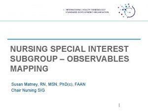 NURSING SPECIAL INTEREST SUBGROUP OBSERVABLES MAPPING Susan Matney