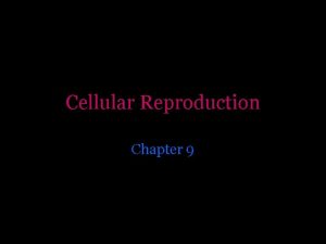 Cellular Reproduction Chapter 9 Cell Cycle 1 Interphase