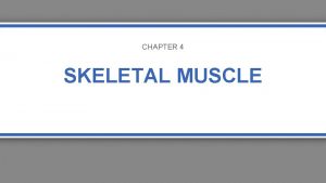 CHAPTER 4 SKELETAL MUSCLE Muscle Characteristics Excitability irritability