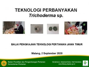 TEKNOLOGI PERBANYAKAN Trichoderma sp BALAI PENGKAJIAN TEKNOLOGI PERTANIAN