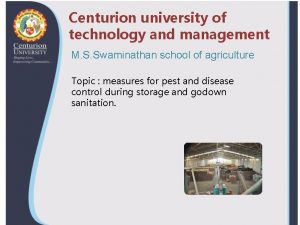 Centurion university of technology and management M S