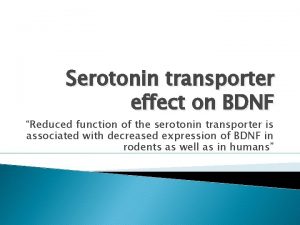 Serotonin transporter effect on BDNF Reduced function of