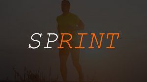 SPRINT SPRINT If You Appreciate Quality Then We