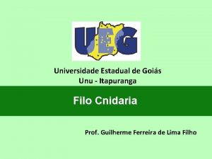 Universidade Estadual de Gois Unu Itapuranga Filo Cnidaria