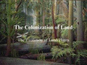 The Colonization of Land The Evolution of Land