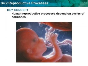 34 2 Reproductive Processes KEY CONCEPT Human reproductive