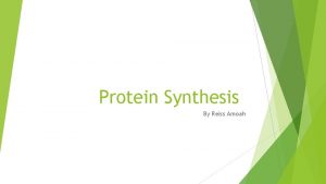 Protein Synthesis By Reiss Amoah What is a