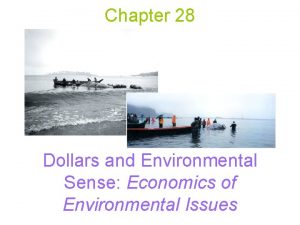 Chapter 28 Dollars and Environmental Sense Economics of